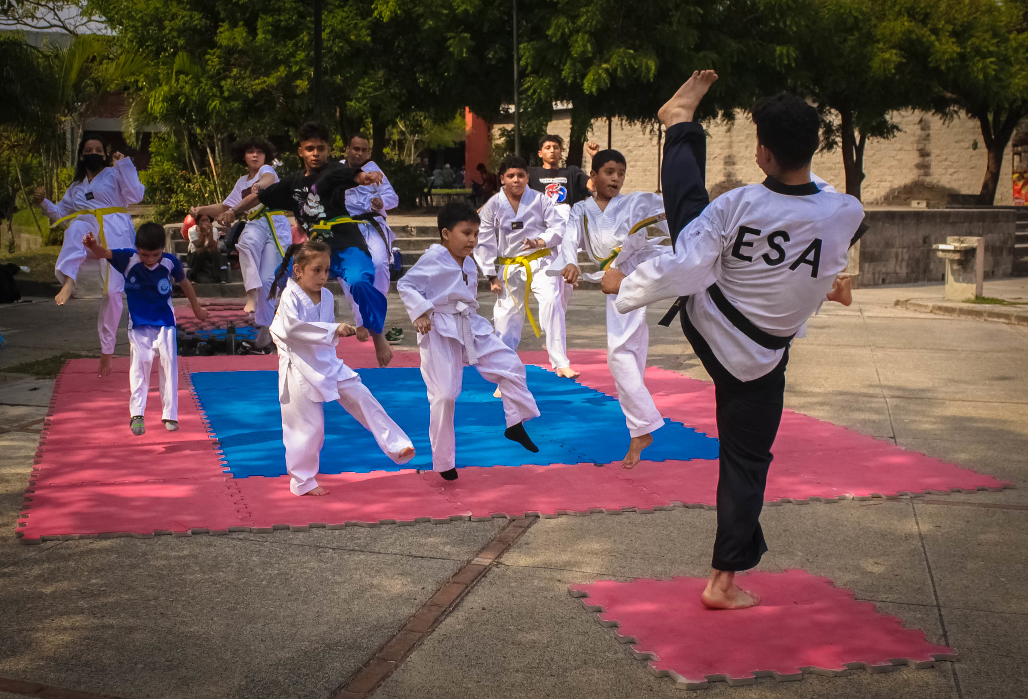 Las artes marciales, un deporte fundamental para la niñez, adolescencia y juventud.